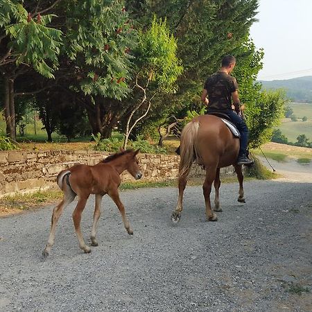 Agriturismo Corte Del Gallo Ривергаро Екстериор снимка