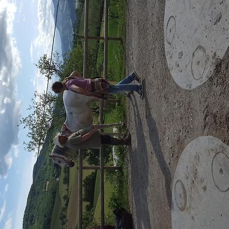 Agriturismo Corte Del Gallo Ривергаро Екстериор снимка