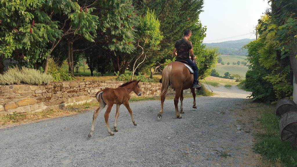Agriturismo Corte Del Gallo Ривергаро Екстериор снимка