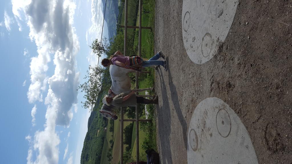 Agriturismo Corte Del Gallo Ривергаро Екстериор снимка